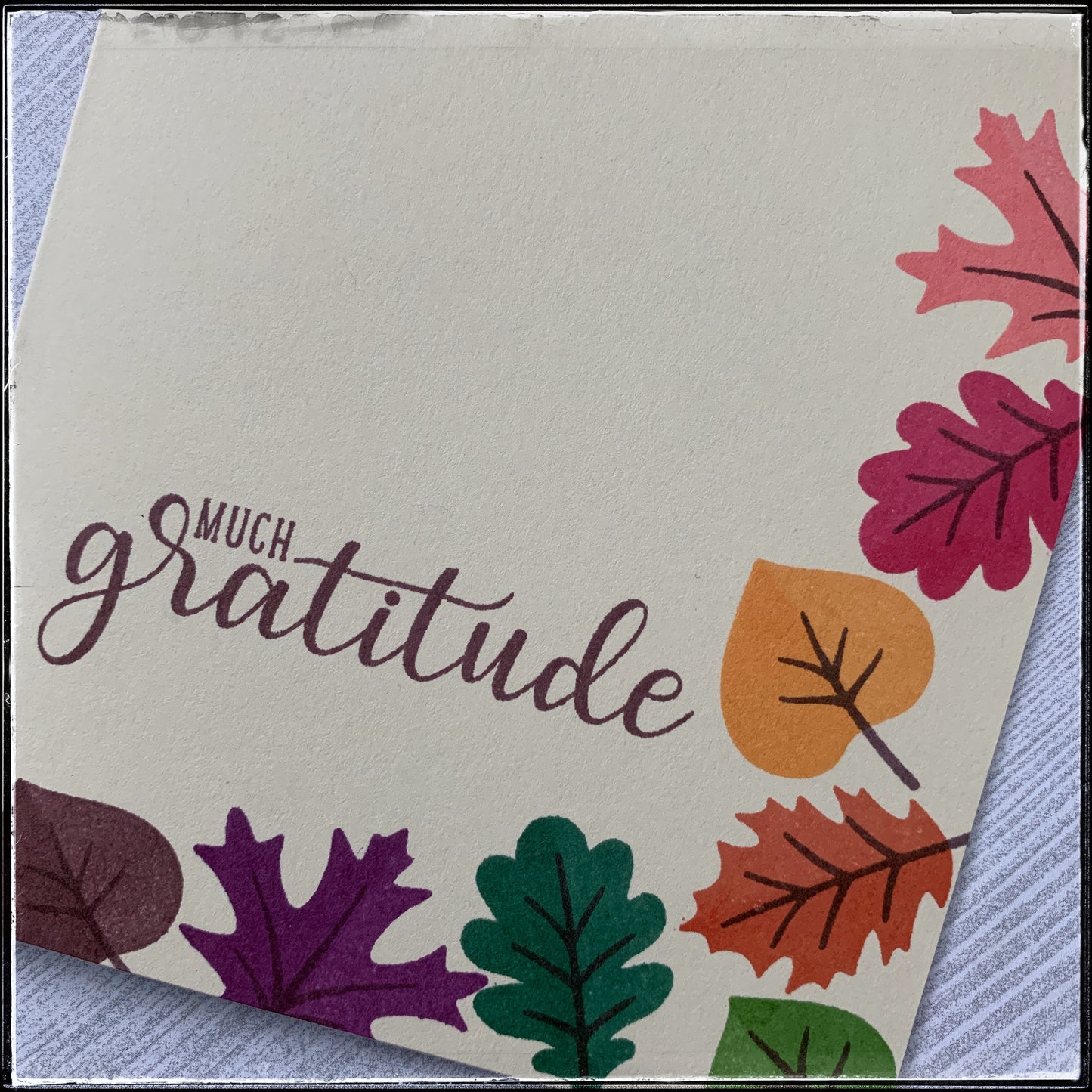 Much Gratitude